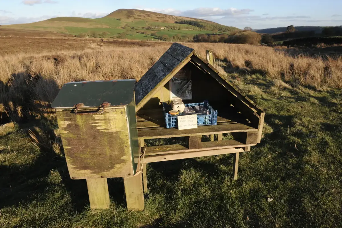 A wooden honesty box at the side of a country lane with hills behind